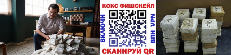 дарнет шоп  Югорск  Cocaine Fish Scale 