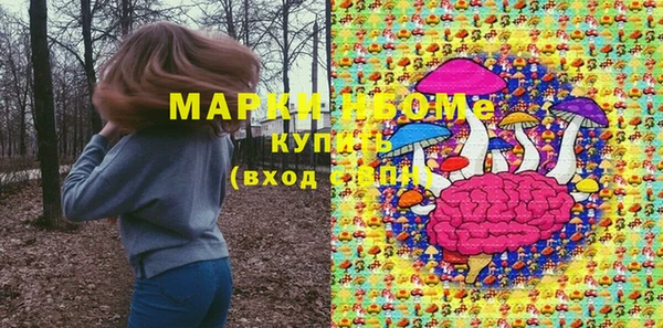 ECSTASY Богородицк