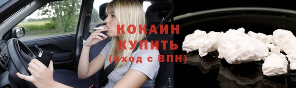 ECSTASY Богородицк