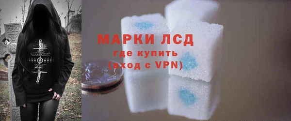 индика Бугульма