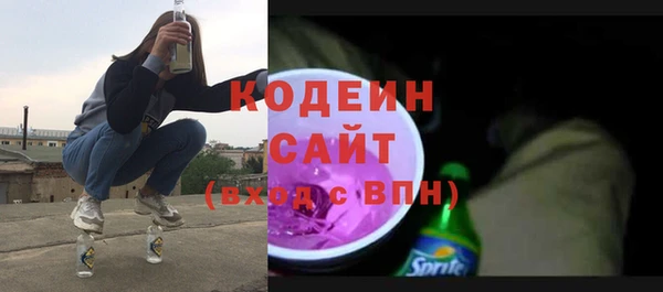 индика Бугульма