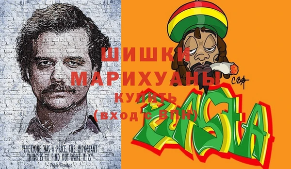 индика Бугульма