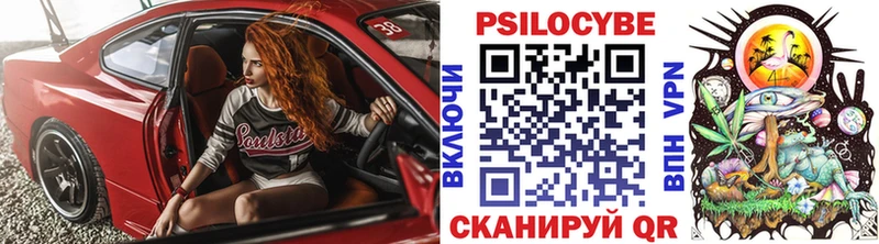 где можно купить наркотик  Югорск  Псилоцибиновые грибы Psilocybine cubensis 