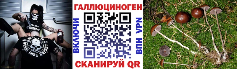 Галлюциногенные грибы мицелий Югорск